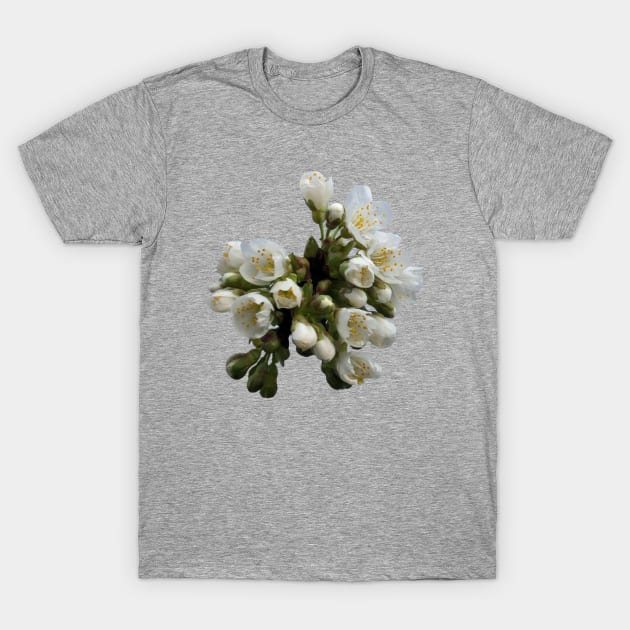 Cherry Blossoms T-Shirt by PrintLads